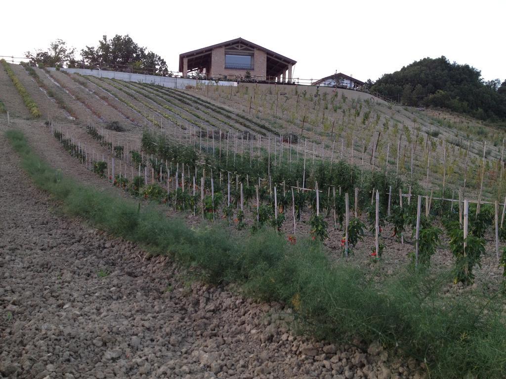 Agriturismo Alba Del Borgo フィデンツァ エクステリア 写真