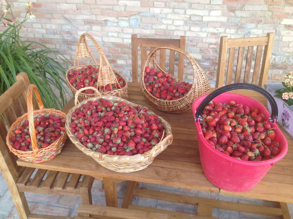 Agriturismo Alba Del Borgo フィデンツァ エクステリア 写真
